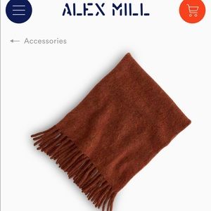 NWT Alex Mill Wool Scarf